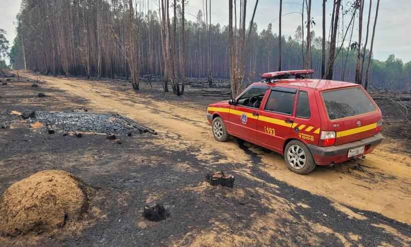 Área de 40 hectares é queimada em fazenda de eucalipto no Norte de Minas - CBMMG / Divulgação