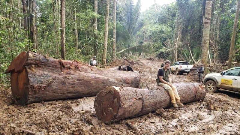 Ricardo Salles vira réu em ação que apura exportação ilegal de madeira - (Divulgação/Ministério do Meio Ambiente)