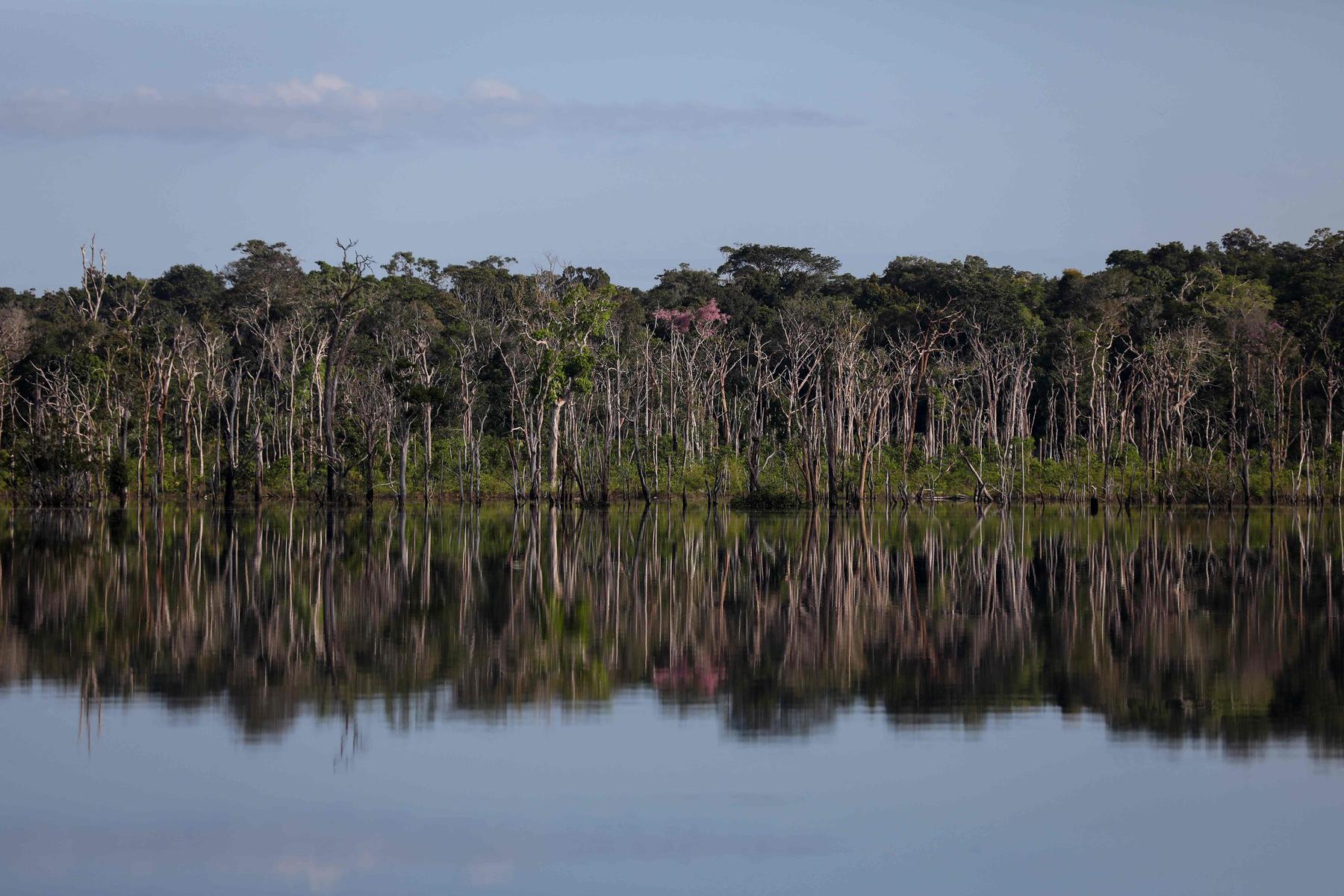 Dinamarca pretende doar R$ 100 milhões ao Fundo Amazônia - MICHAEL DANTAS / AFP