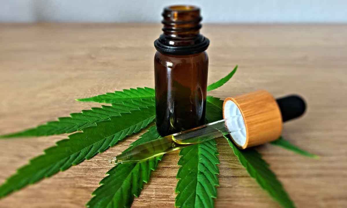 Pesquisa: cannabis pode auxiliar no tratamento da endometriose - Pixabay