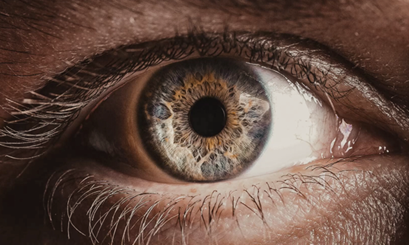 Fila para transplante de córnea no Brasil pode chegar a 13 meses -  H.Olhos/Divulgação 
