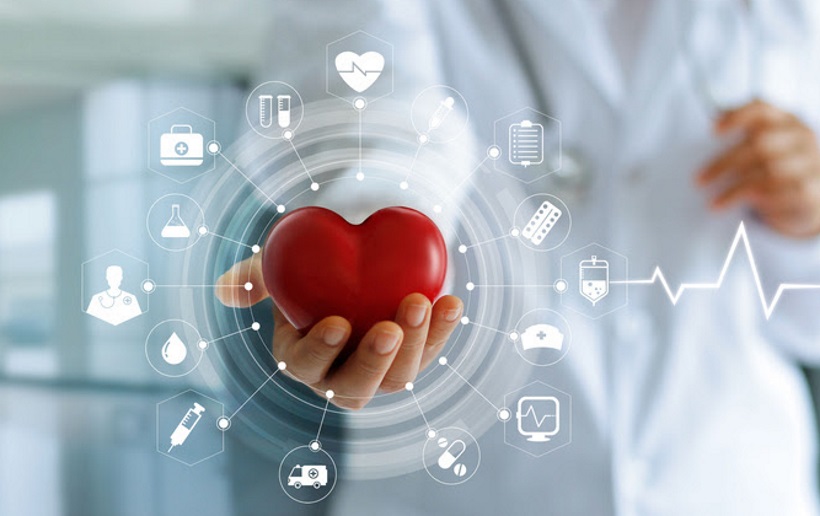 Função dos rins pode ser prejudicada quando coração está comprometido - Shutterstock