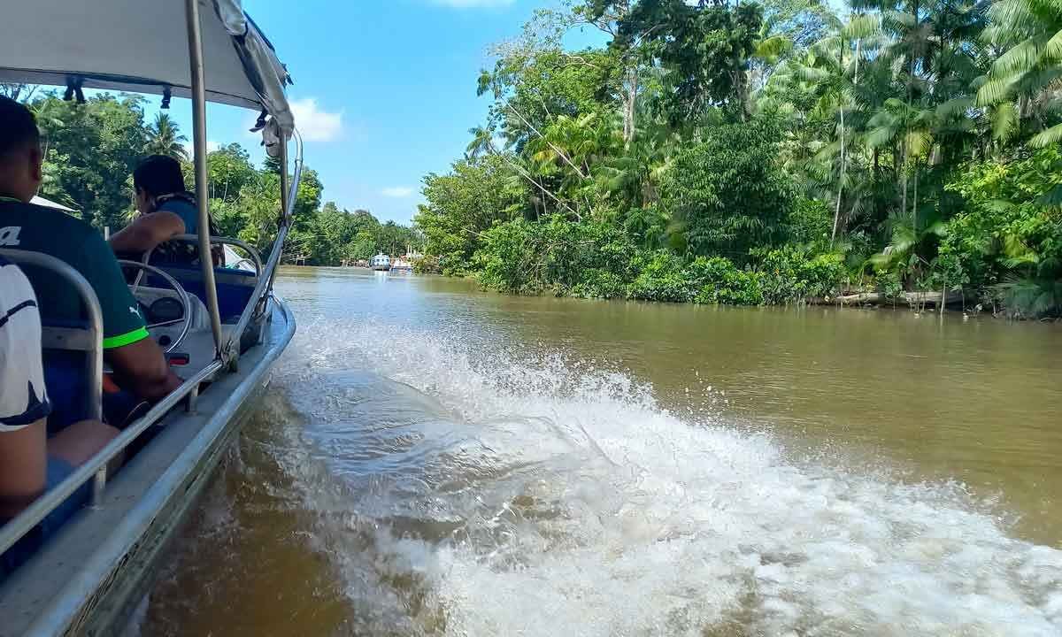 Turismo na região dos igarapés da Ilha do Combu é feito em lanchas rápidas. Passeio tenta conscientizar o visitante da importância da preservação da Amazônia