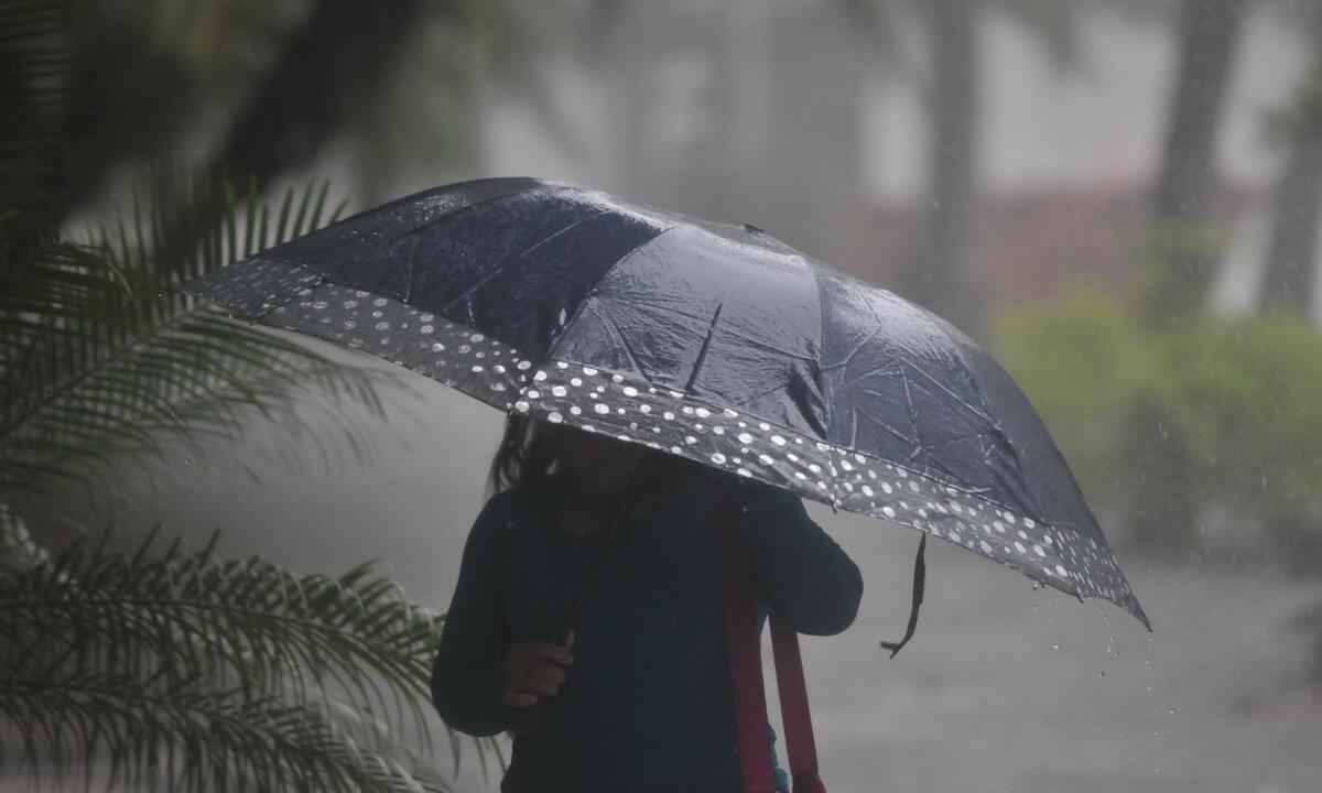 Chuva em BH: Região Leste registra 60% do esperado para o mês - Alexandre Guzanshe/EM/D.A