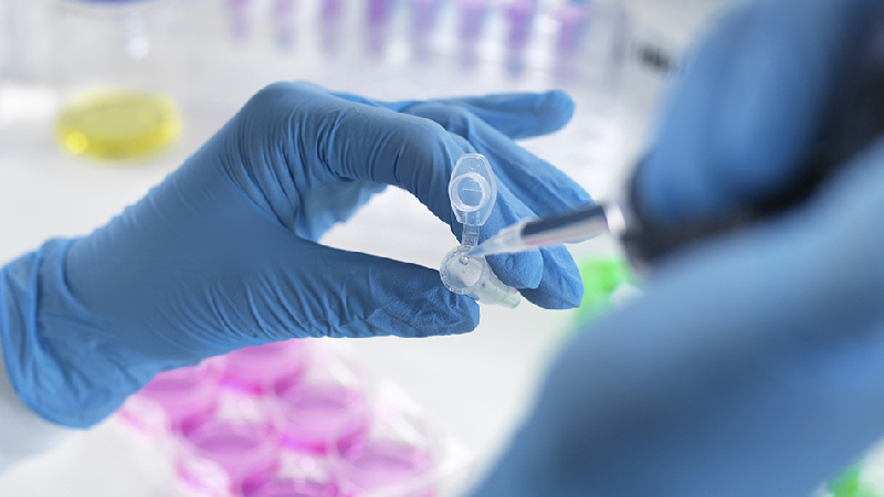 Cientistas criam modelo de embrião humano sem usar espermatozoide ou óvulo - Getty Images