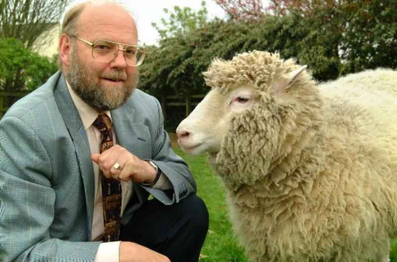 Ian Wilmut, cientista que clonou a ovelha Dolly, morre aos 79 anos - (Reprodução/University of Edinburgh)