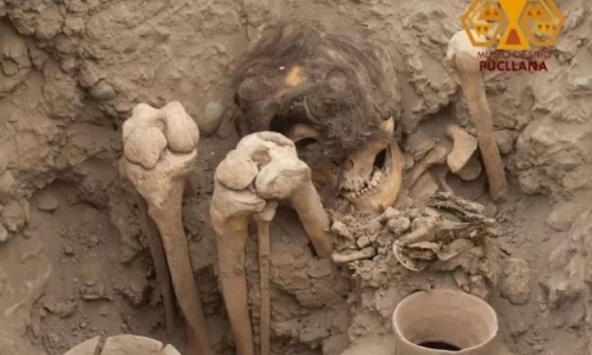 Múmia 'cabeluda' de mil anos é encontrada - Reprodução/Facebook