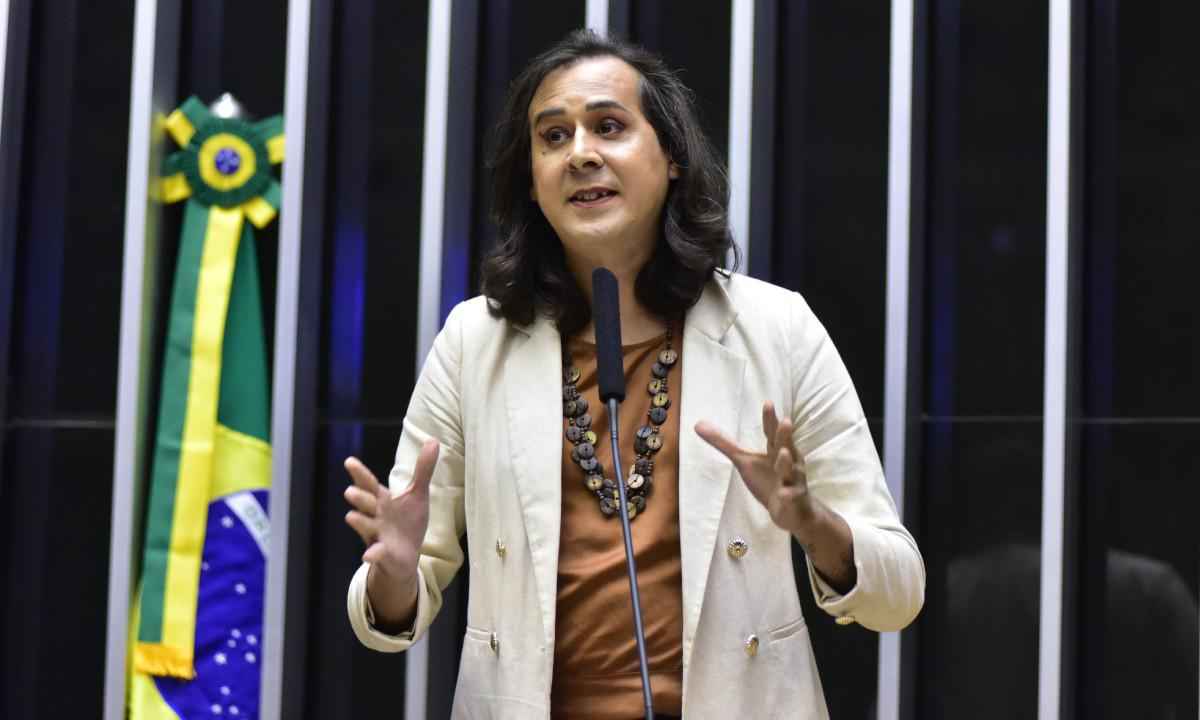 Duda Salabert integra lista de 100 líderes influentes da 'Revista Time' -  Zeca Ribeiro/Câmara dos Deputados