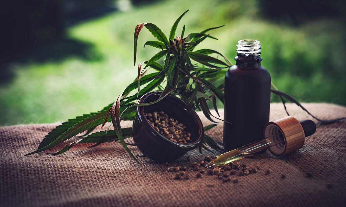 STJ autoriza pacientes a cultivarem maconha para fins medicinais - Pixabay