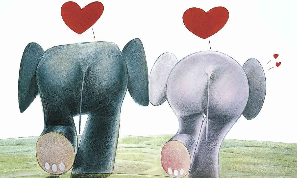 Casais de elefantes e pulgas definem o amor em livro de Drummond e Ziraldo - Record/Divulgação