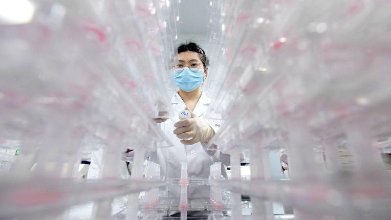 Como o Darwinismo pode mudar tratamentos contra câncer e superbactérias - Getty Images