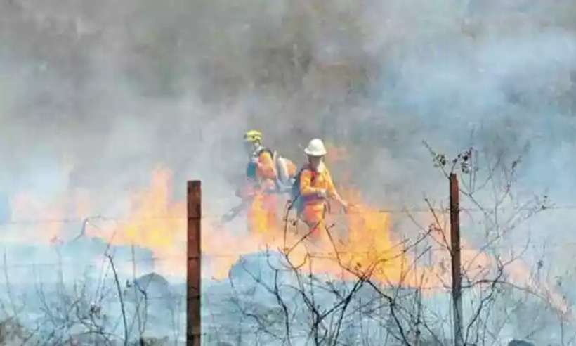 Onda de calor em Minas pode aumentar risco de incêndios florestais  - Gladyston Rodrigues/EM/D.A Press - 28/8/2022 