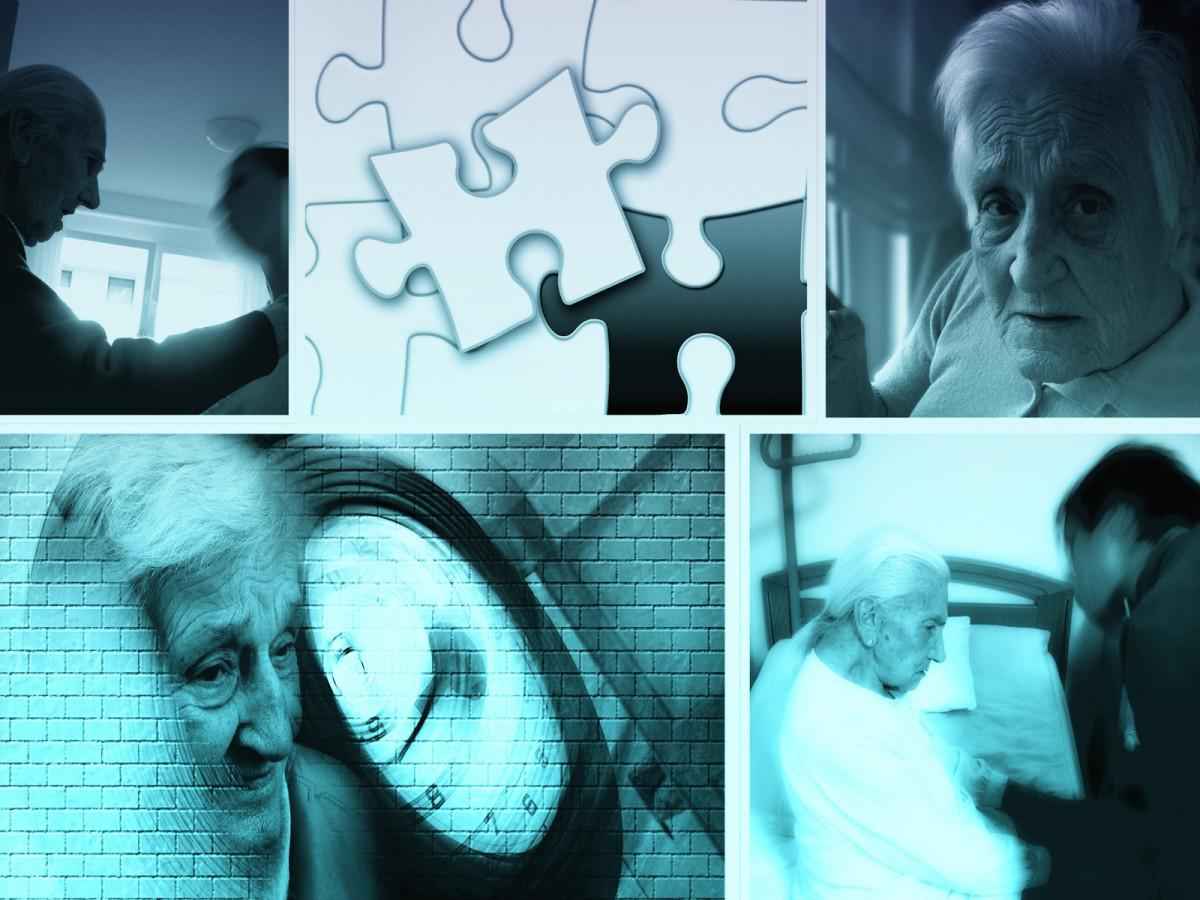 Tratamento de Alzheimer esbarra em falta de informação e de rede de apoio - PxHere