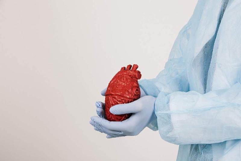 Especialista explica os riscos de rejeição em transplante do coração - (Reprodução/Freepik)