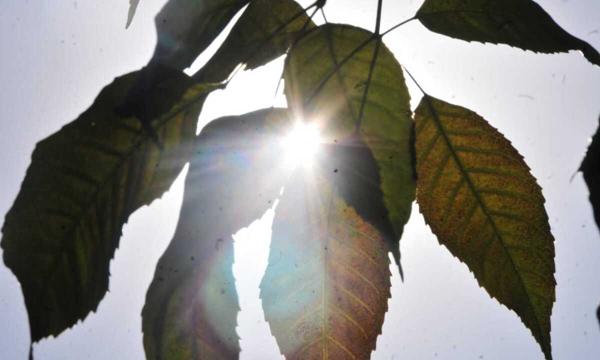 BH tem 7° dia mais quente da história, chegando a 37,1°C - Marcos Vieira/EM/D.A Press