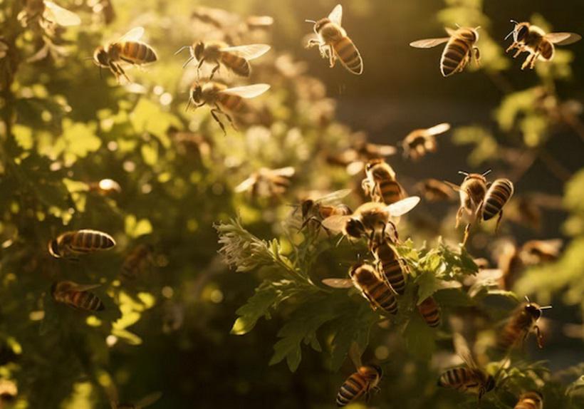 Como agir em ataques de abelhas? Veja causas e dicas de segurança - Freepik