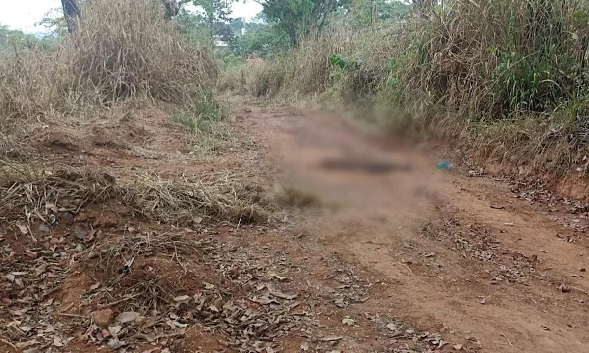 Polícia investiga se corpo encontrado é de motorista de app desaparecida - PCMG/Divulgação