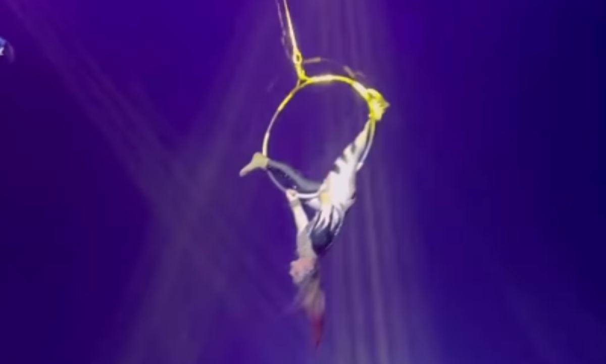 Casal de trapezistas cai durante apresentação de circo - (Reprodução/Instagram @ocircoaquatico)