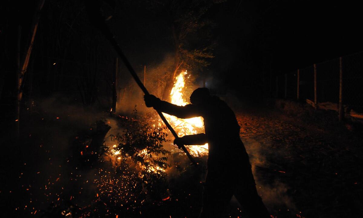 Brigadas Voluntárias têm papel importante no combate aos incêndios em MG - Leandro Couri/EM/D.A.Press.Brasil.MG