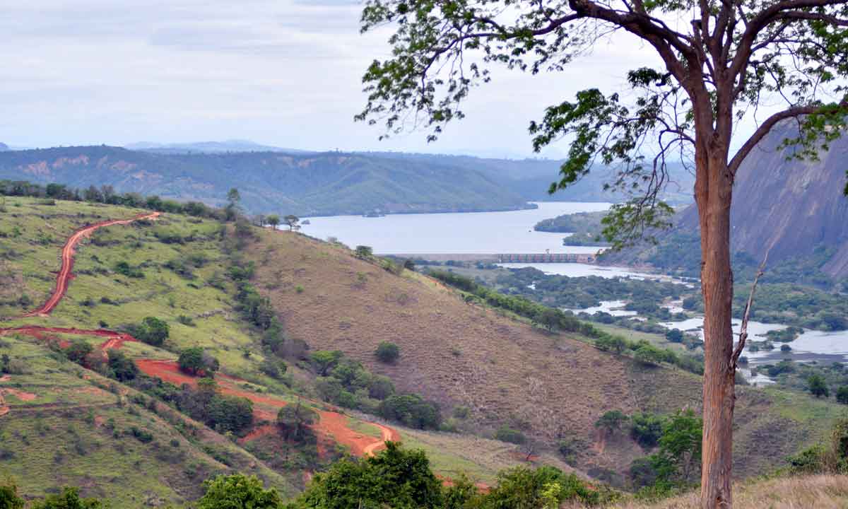 Reflorestamento em Aimorés: um quarto de século investido na preservação -  Alexandre Guzanshe/EM/D.A Press