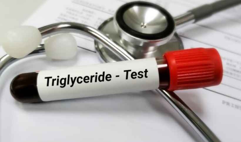 Triglicerídeos altos podem indicar risco para a saúde  - Freepik