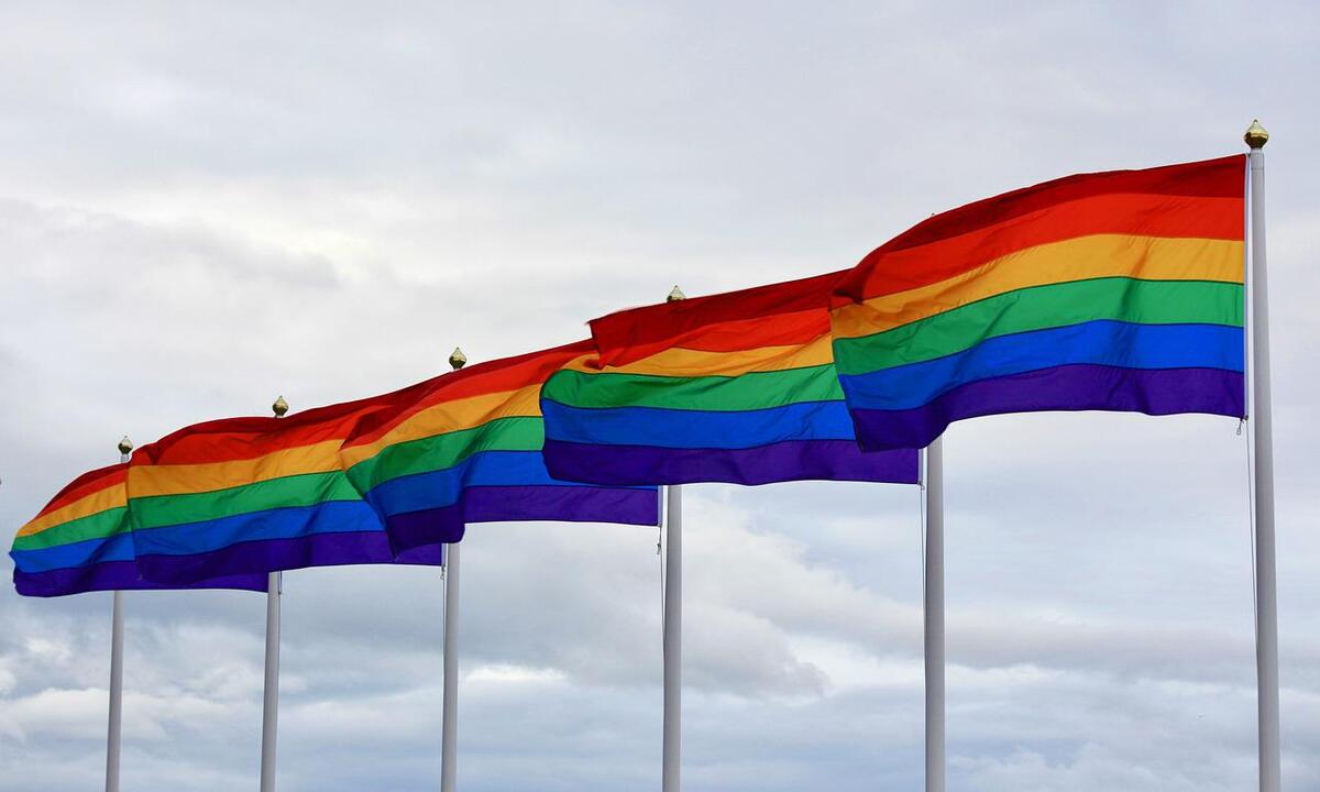 Comissão da Câmara aprova PL que veta casamento homoafetivo - Pixabay/Reprodução