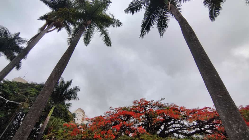 Domingo tem céu nublado e previsão de chuva em BH - Jair Amaral/EM/D.A.Press