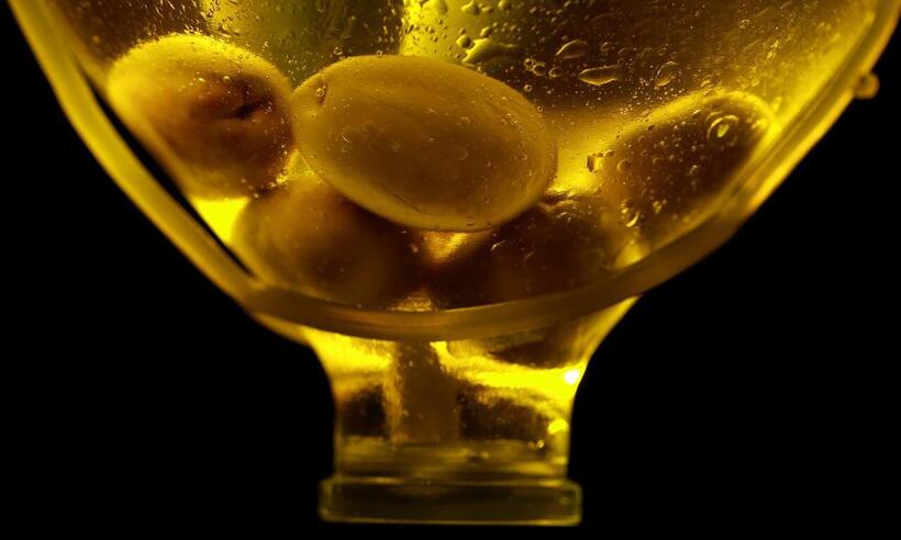 Conheça os segredos do óleo de oliva para a saúde da pele