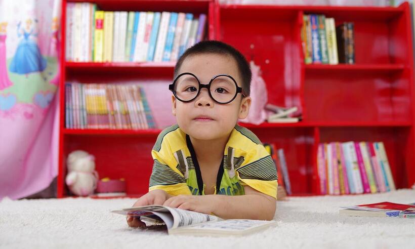 Miopia infantil: 10 mitos e verdades que você precisa saber -  The Anh Tran/Pixabay