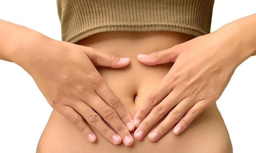Descubra o poder dos probióticos para a saúde gastrointestinal - Alicia Harper/Pixabay