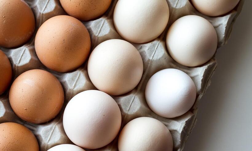É verdade que o ovo cura a ressaca?   - Moira Nazzari/Pixabay