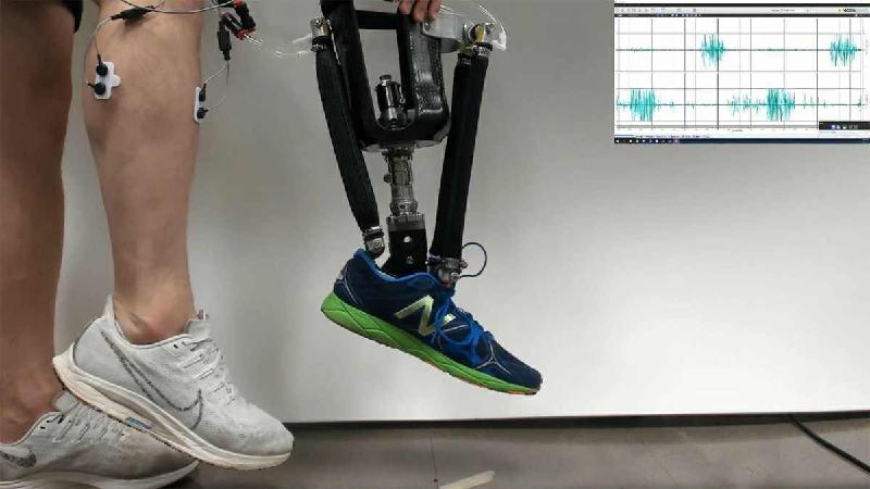 Prótese de tornozelo robótico melhora a estabilidade - (Aaron Fleming, NC State University)